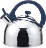 Tetera de acero inoxidable Magefesa Acacia baja a su menor precio